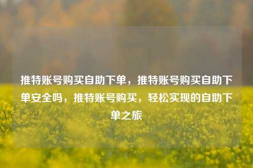 推特账号购买自助下单，推特账号购买自助下单安全吗，推特账号购买，轻松实现的自助下单之旅