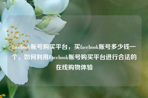 facebook帐号购买平台，买facebook账号多少钱一个，如何利用Facebook帐号购买平台进行合法的在线购物体验