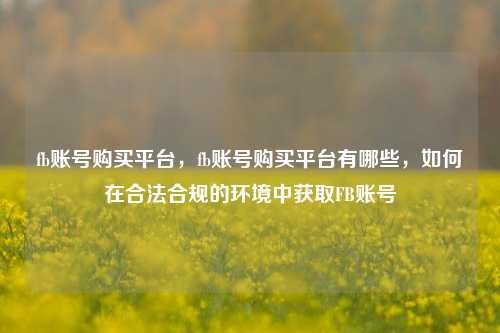 fb账号购买平台，fb账号购买平台有哪些，如何在合法合规的环境中获取FB账号
