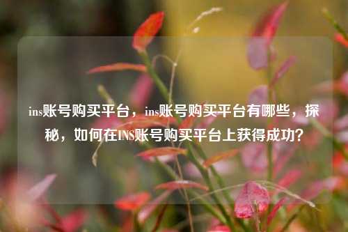 ins账号购买平台，ins账号购买平台有哪些，探秘，如何在INS账号购买平台上获得成功？