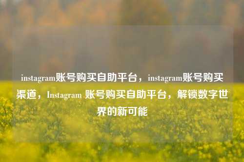 instagram账号购买自助平台，instagram账号购买渠道，Instagram 账号购买自助平台，解锁数字世界的新可能