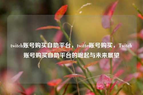 twitch账号购买自助平台，twitte账号购买	，Twitch账号购买自助平台的崛起与未来展望  第1张