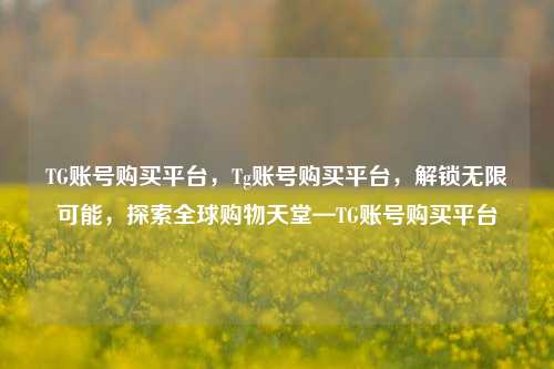 TG账号购买平台，Tg账号购买平台，解锁无限可能，探索全球购物天堂—TG账号购买平台
