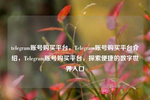 telegram账号购买平台，Telegram账号购买平台介绍，Telegram账号购买平台，探索便捷的数字世界入口