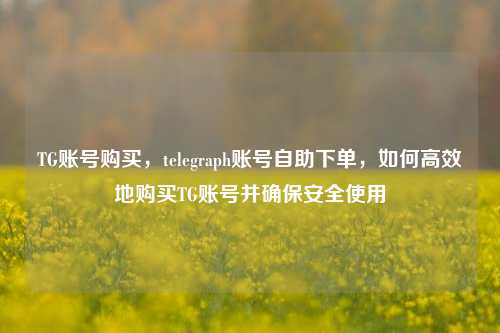 TG账号购买，telegraph账号自助下单，如何高效地购买TG账号并确保安全使用
