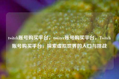 twitch账号购买平台，twiiter账号购买平台，Twitch账号购买平台，探索虚拟世界的入口与挑战