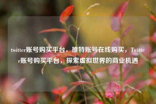 twitter账号购买平台，推特账号在线购买，Twitter账号购买平台，探索虚拟世界的商业机遇