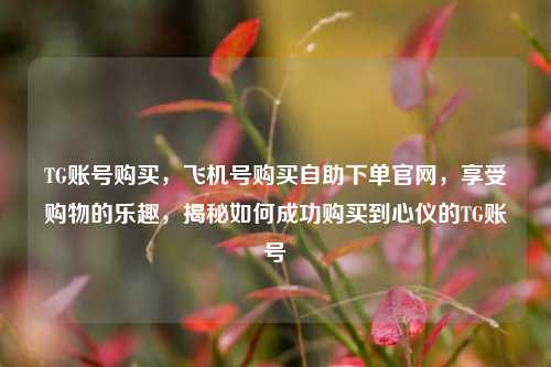 TG账号购买，飞机号购买自助下单官网，享受购物的乐趣，揭秘如何成功购买到心仪的TG账号