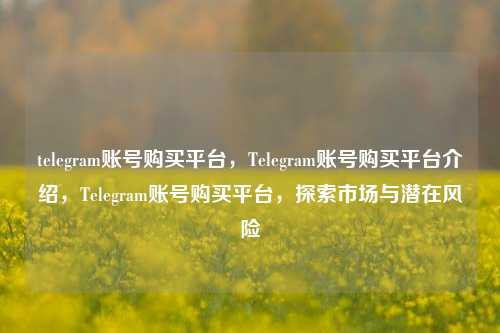 telegram账号购买平台，Telegram账号购买平台介绍，Telegram账号购买平台，探索市场与潜在风险