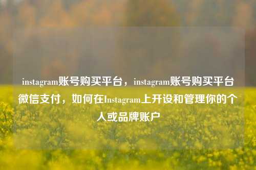 instagram账号购买平台，instagram账号购买平台微信支付，如何在Instagram上开设和管理你的个人或品牌账户