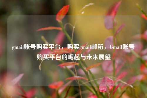 gmail账号购买平台，购买gmail邮箱，Gmail账号购买平台的崛起与未来展望