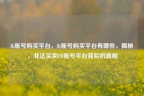 fb账号购买平台，fb账号购买平台有哪些，揭秘，非法买卖FB账号平台背后的真相