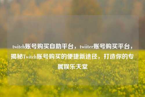 twitch账号购买自助平台，twiiter账号购买平台，揭秘Twitch账号购买的便捷新途径，打造你的专属娱乐天堂