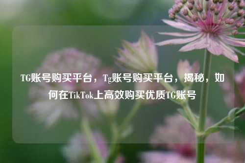 TG账号购买平台，Tg账号购买平台，揭秘，如何在TikTok上高效购买优质TG账号