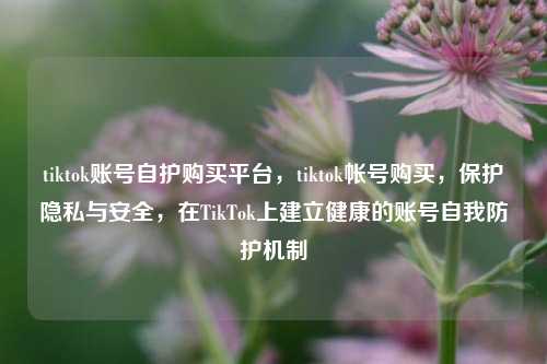 tiktok账号自护购买平台，tiktok帐号购买，保护隐私与安全，在TikTok上建立健康的账号自我防护机制