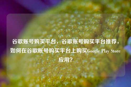 谷歌账号购买平台，谷歌账号购买平台推荐，如何在谷歌账号购买平台上购买Google Play Store应用？