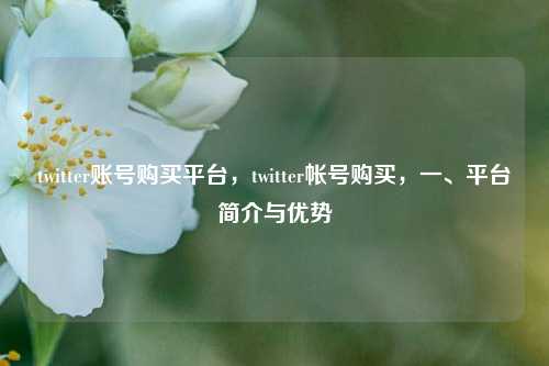 twitter账号购买平台，twitter帐号购买，一、平台简介与优势