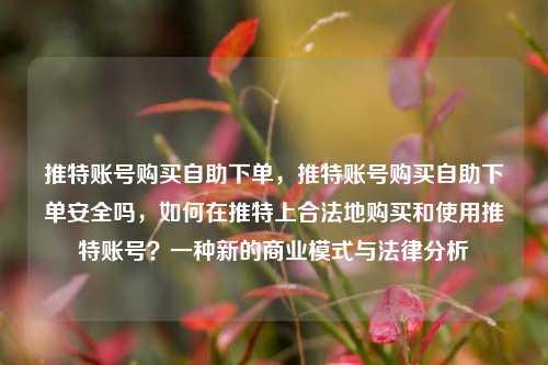 推特账号购买自助下单，推特账号购买自助下单安全吗，如何在推特上合法地购买和使用推特账号？一种新的商业模式与法律分析