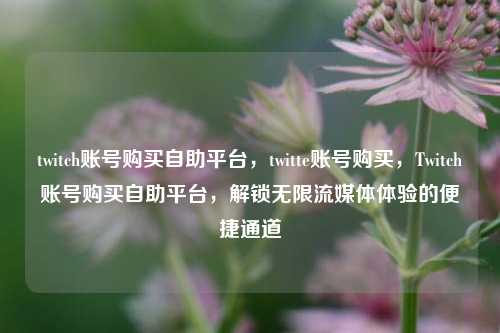 twitch账号购买自助平台，twitte账号购买，Twitch账号购买自助平台，解锁无限流媒体体验的便捷通道
