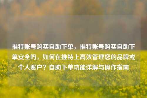 推特账号购买自助下单，推特账号购买自助下单安全吗，如何在推特上高效管理您的品牌或个人账户？自助下单功能详解与操作指南
