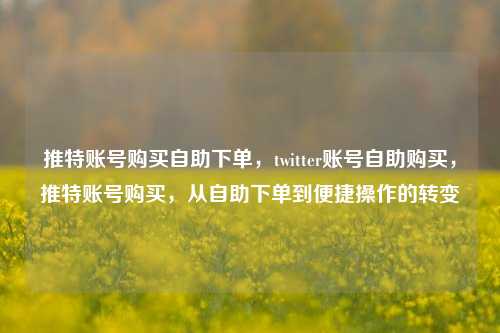 推特账号购买自助下单，twitter账号自助购买，推特账号购买，从自助下单到便捷操作的转变