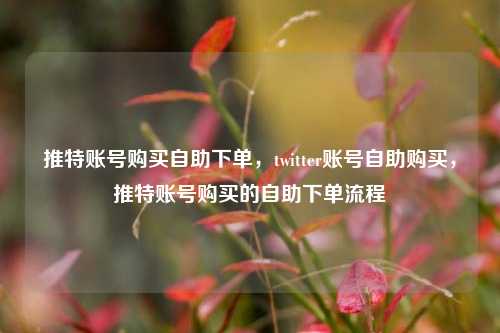 推特账号购买自助下单，twitter账号自助购买，推特账号购买的自助下单流程  第1张