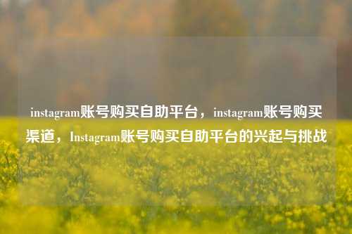 instagram账号购买自助平台，instagram账号购买渠道，Instagram账号购买自助平台的兴起与挑战
