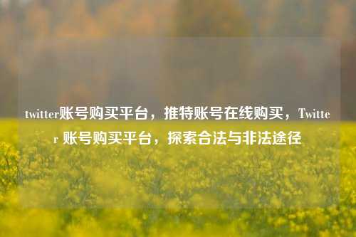 twitter账号购买平台，推特账号在线购买，Twitter 账号购买平台，探索合法与非法途径