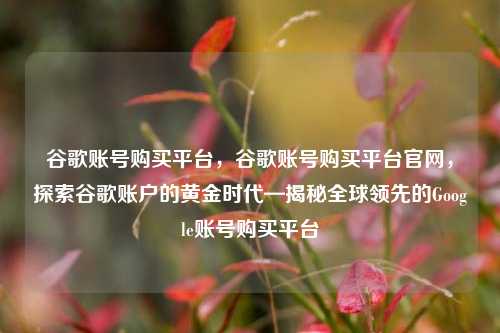谷歌账号购买平台，谷歌账号购买平台官网，探索谷歌账户的黄金时代—揭秘全球领先的Google账号购买平台