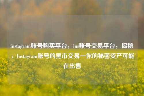 instagram账号购买平台，ins账号交易平台，揭秘，Instagram账号的黑市交易—你的秘密资产可能在出售