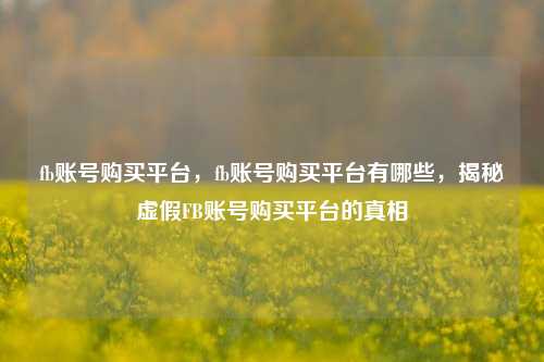 fb账号购买平台，fb账号购买平台有哪些，揭秘虚假FB账号购买平台的真相