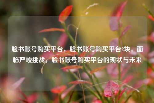 脸书账号购买平台，脸书账号购买平台2块	，面临严峻挑战，脸书账号购买平台的现状与未来  第1张
