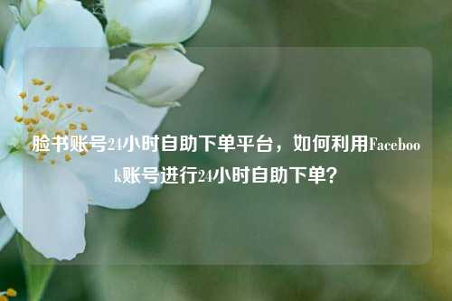 脸书账号24小时自助下单平台，如何利用Facebook账号进行24小时自助下单？