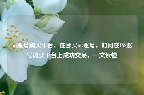 ins账号购买平台，在哪买ins账号，如何在INS账号购买平台上成功交易，一文读懂