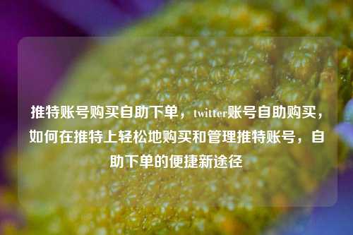 推特账号购买自助下单，twitter账号自助购买，如何在推特上轻松地购买和管理推特账号，自助下单的便捷新途径