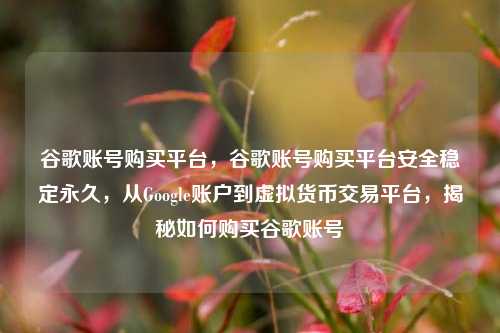 谷歌账号购买平台，谷歌账号购买平台安全稳定永久，从Google账户到虚拟货币交易平台，揭秘如何购买谷歌账号