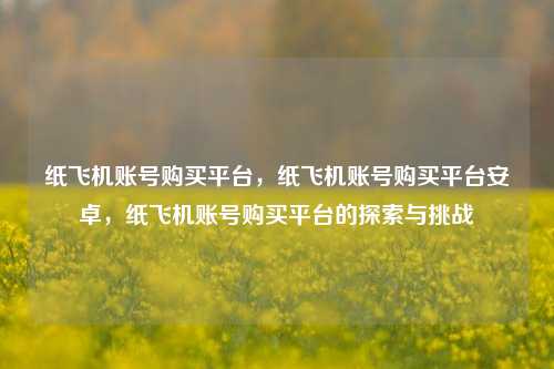 纸飞机账号购买平台，纸飞机账号购买平台安卓	，纸飞机账号购买平台的探索与挑战  第1张