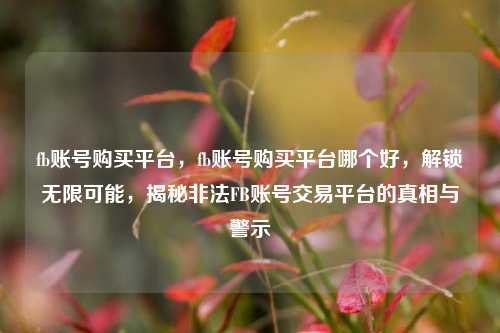 fb账号购买平台，fb账号购买平台哪个好，解锁无限可能，揭秘非法FB账号交易平台的真相与警示  第1张