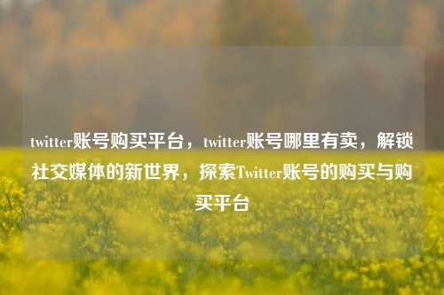 twitter账号购买平台，twitter账号哪里有卖，解锁社交媒体的新世界，探索Twitter账号的购买与购买平台