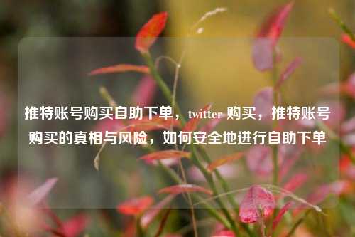 推特账号购买自助下单	，twitter 购买，推特账号购买的真相与风险，如何安全地进行自助下单  第1张
