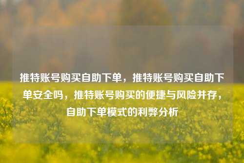 推特账号购买自助下单，推特账号购买自助下单安全吗，推特账号购买的便捷与风险并存，自助下单模式的利弊分析