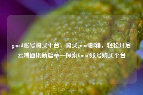 gmail账号购买平台，购买gmail邮箱，轻松开启云端通讯新篇章—探索Gmail账号购买平台