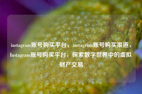 instagram账号购买平台，instagram账号购买渠道，Instagram账号购买平台，探索数字世界中的虚拟财产交易