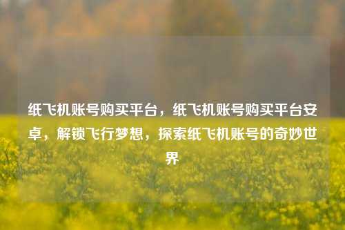 纸飞机账号购买平台，纸飞机账号购买平台安卓，解锁飞行梦想，探索纸飞机账号的奇妙世界