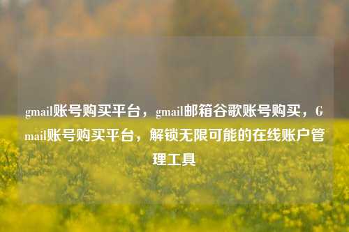 gmail账号购买平台，gmail邮箱谷歌账号购买，Gmail账号购买平台，解锁无限可能的在线账户管理工具