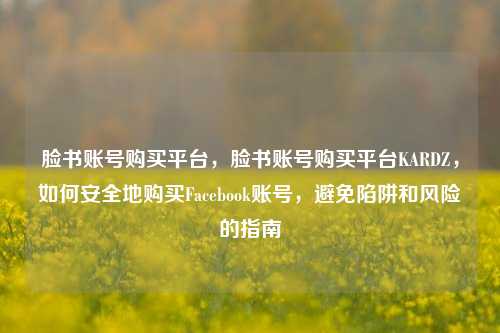 脸书账号购买平台，脸书账号购买平台KARDZ，如何安全地购买Facebook账号，避免陷阱和风险的指南