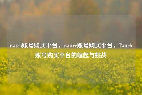 twitch账号购买平台，twiiter账号购买平台	，Twitch账号购买平台的崛起与挑战  第1张