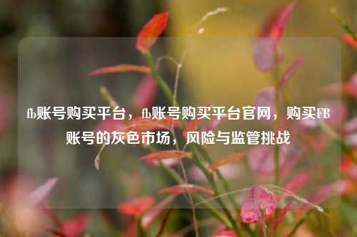 fb账号购买平台，fb账号购买平台官网，购买FB账号的灰色市场，风险与监管挑战