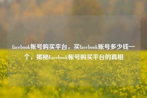 facebook帐号购买平台，买facebook账号多少钱一个，揭秘Facebook帐号购买平台的真相