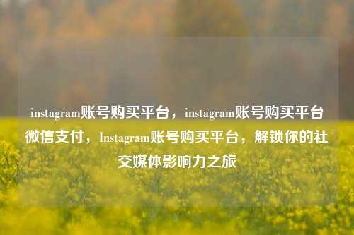 instagram账号购买平台，instagram账号购买平台微信支付，Instagram账号购买平台，解锁你的社交媒体影响力之旅